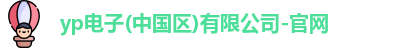 yp电子